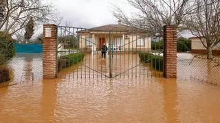 Las lluvias caídas en Córdoba provocan algunas anegaciones en parcelaciones del entorno de Villarrubia