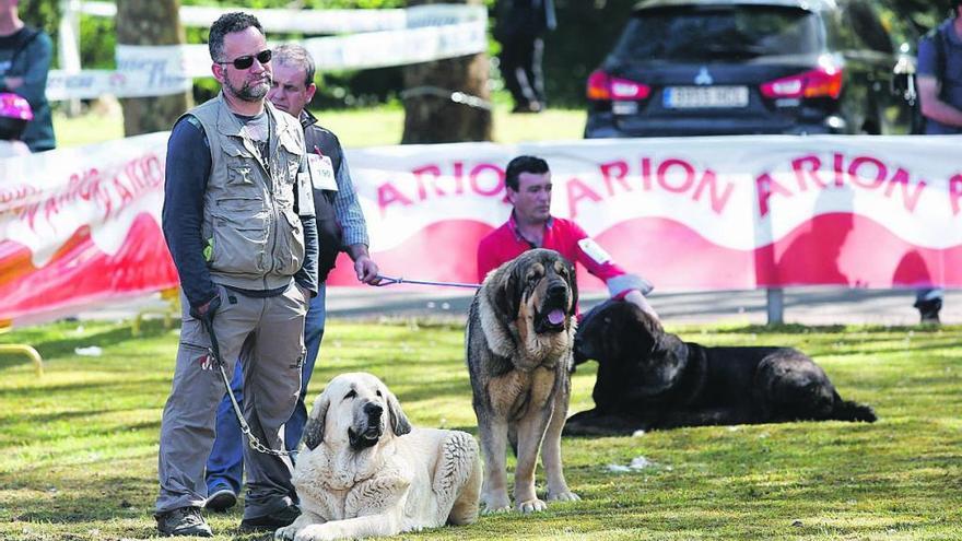 El paraíso de los animales de compañía