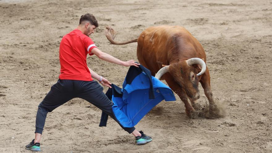 Los 6 pueblos que hacen toros este fin de semana en Castellón