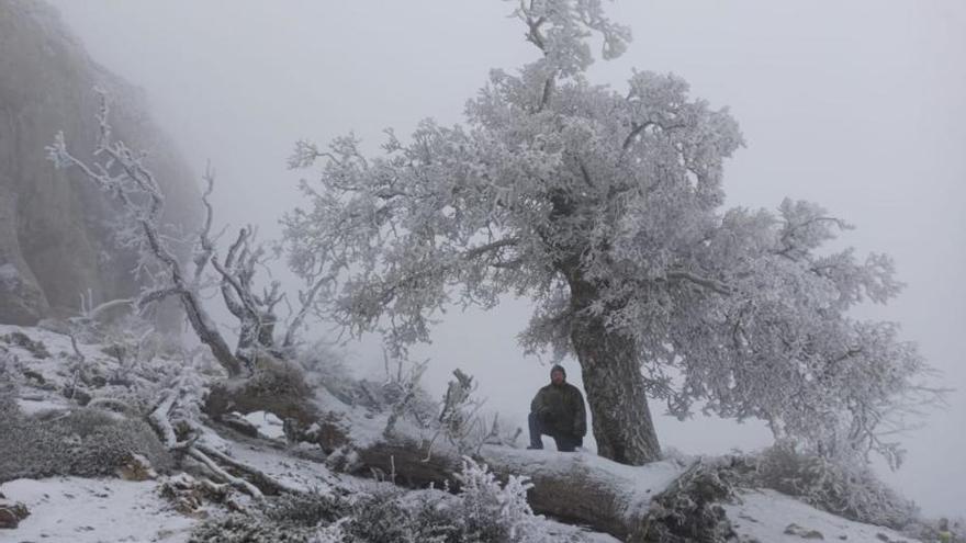 Comienza la mejora de equipamientos del Parque Nacional Sierra de las Nieves