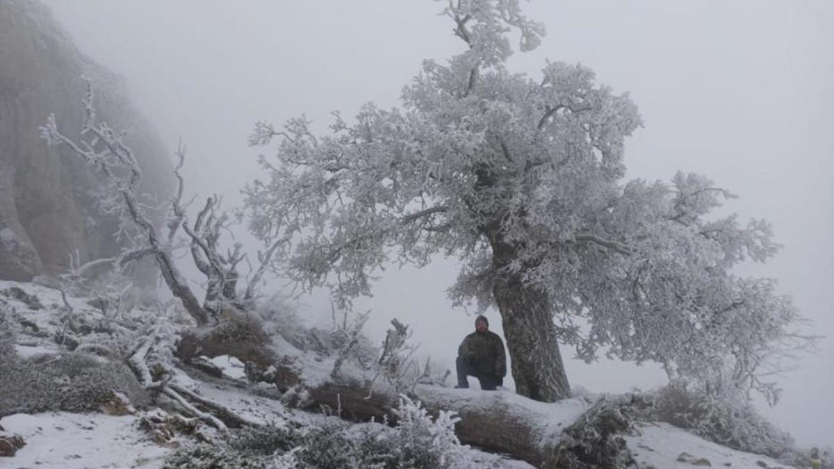 La Sierra de las Nieves