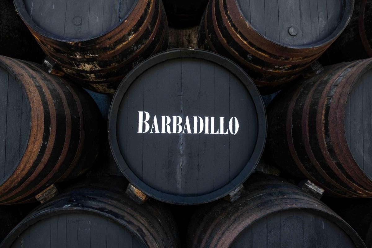 Manzanillas como Arboledilla Levante y Arboledilla Poniente demuestran cómo el microclima sanluqueño influye de manera determinante en el vino.