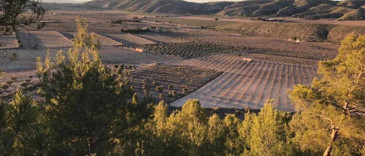 Las faldas de la Sierra Salinas, donde fueron tumbadas tres solicitudes de plantas fotovoltaicas.