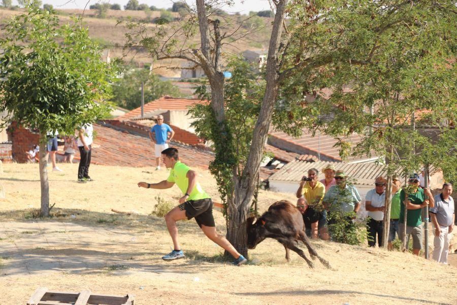 Encierro El Maderal