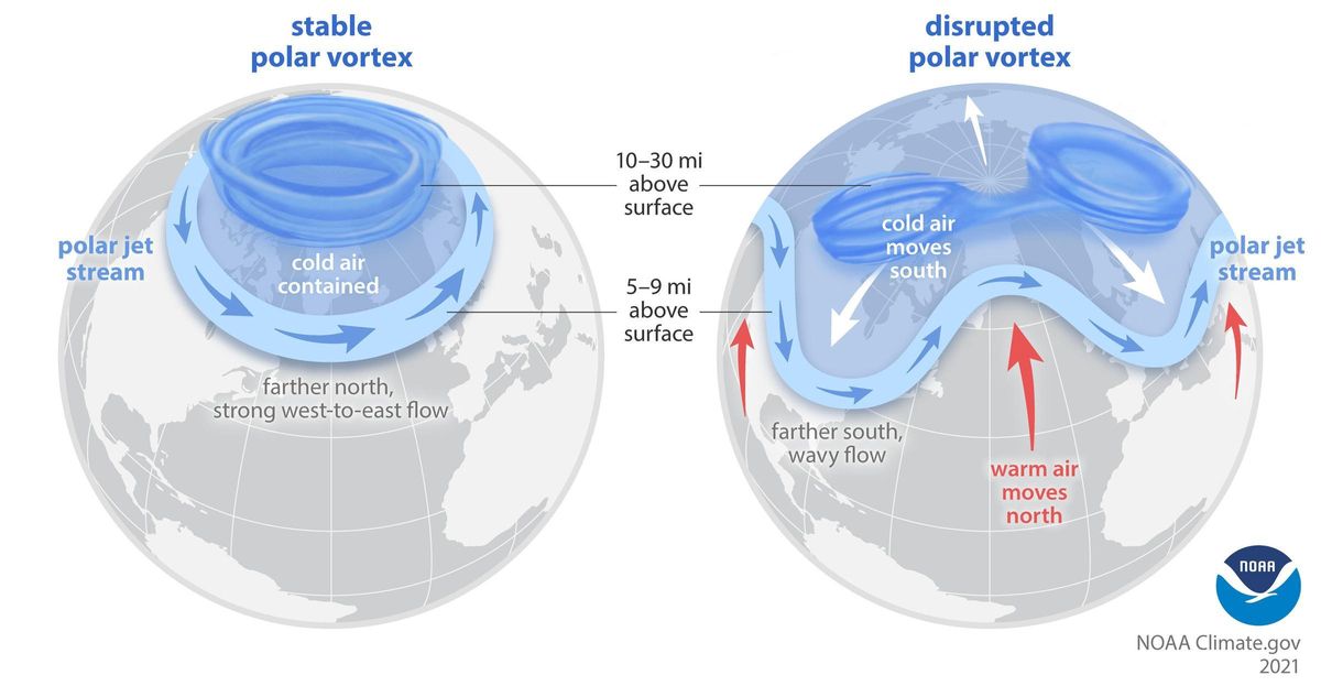 veces, durante el invierno en el hemisferio norte, el vórtice polar se vuelve menos estable e interrumpe la corriente en chorro polar que circula en la misma dirección millas por debajo del vórtice, lo que envía aire frío del Ártico hacia el sur.