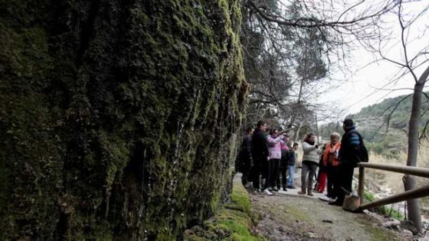 El primer grupo de &quot;Open to the world&quot; en el paraje natural de la Font de la Renyinyosa.