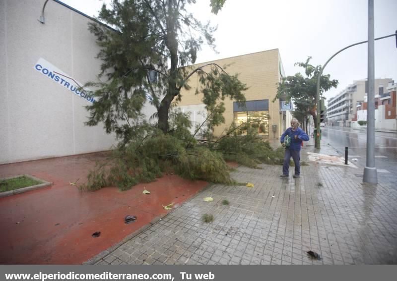 GALERÍA DE FOTOS -- Efectos de las tormentas en la provincia