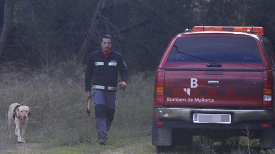 Continúa la búsqueda de Malén Ortiz