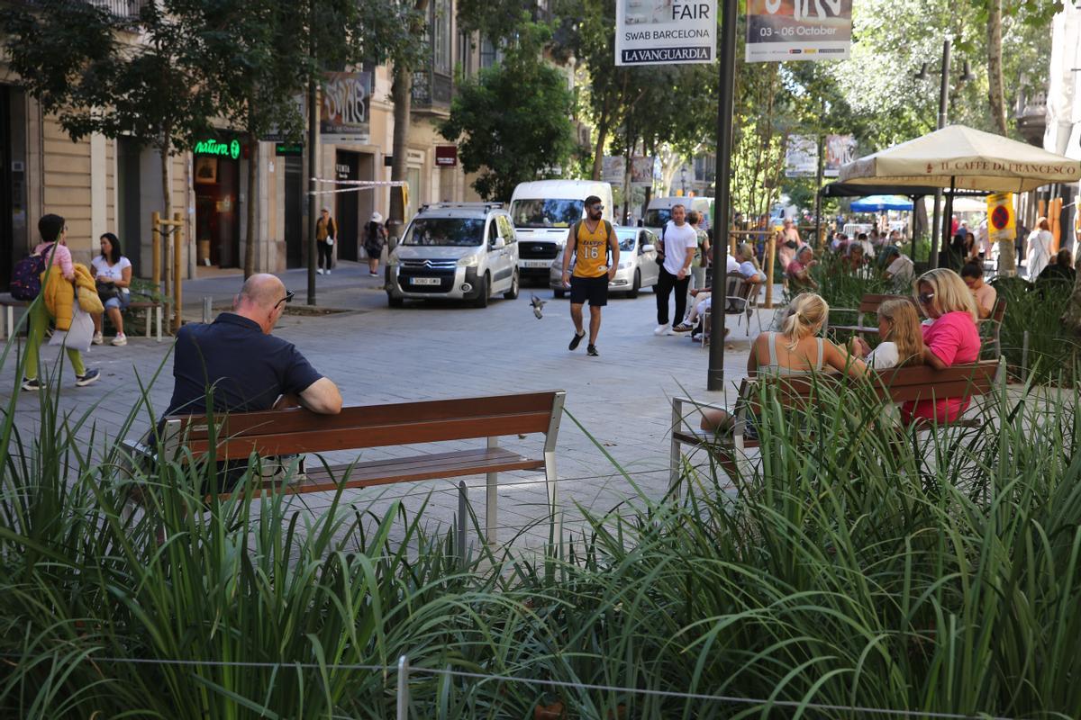 "Los peatones y vecinos de Consell de Cent estamos totalmente desprotegidos"