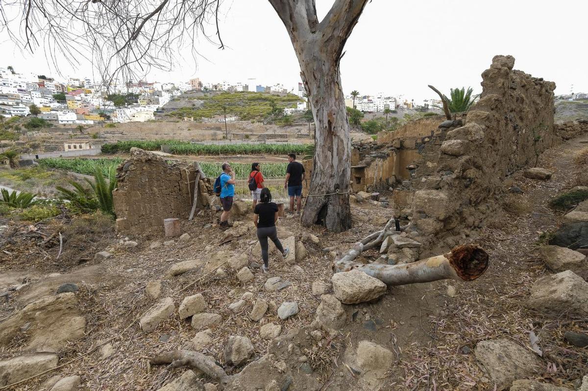 Paseo por el barranco con la nueva app Kleos Guiniguada Paseo por el barranco con la nueva app Kleos Guiniguada