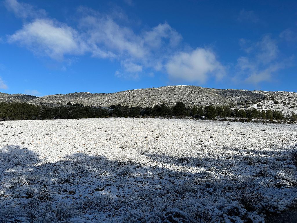 La nieve cumbra el techo de la Región en Cañada de la Cruz, Moratalla