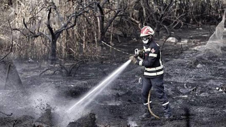 Arden cuatro hectáreas en San Isidro