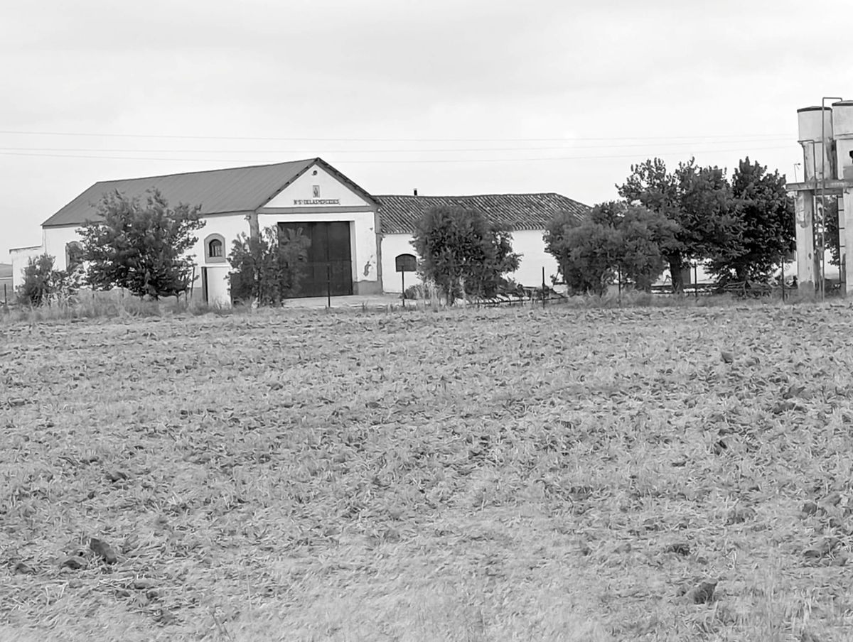 El cortijo de Los Galindos, donde tuvo lugar el crimen.