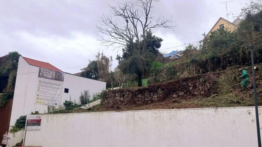 El Concello limpia la «selva» de la calle Ramón Cabanillas