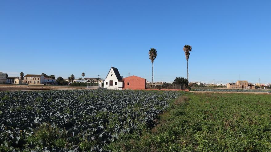 València avanza hacia un modelo agroalimentario más sostenible