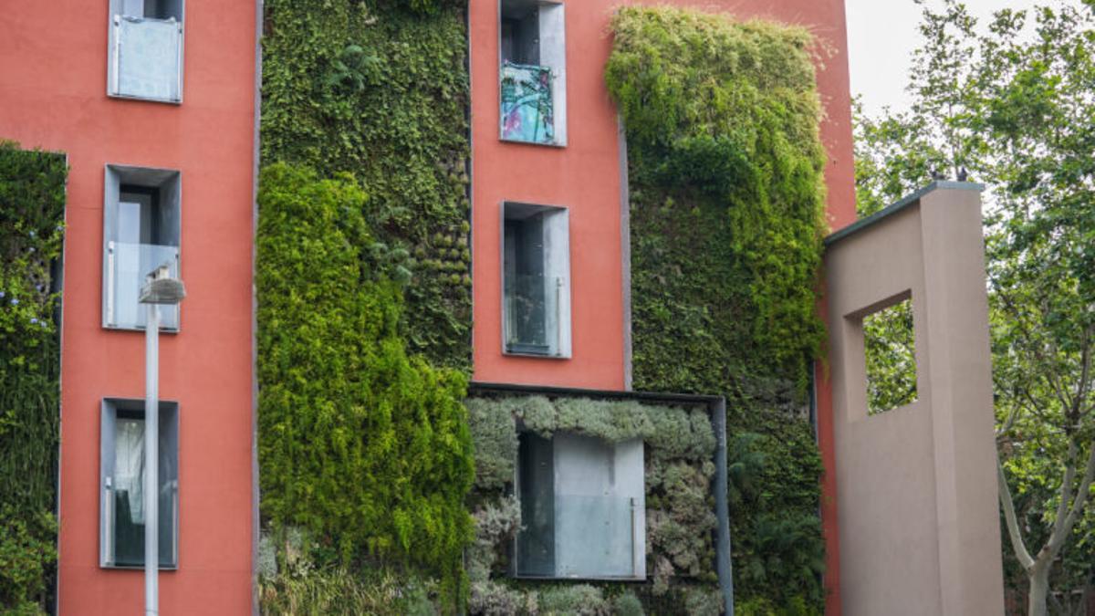 Aprovechamiento de una fachada para generar espacios verdes.