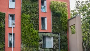 Aprovechamiento de una fachada para generar espacios verdes.