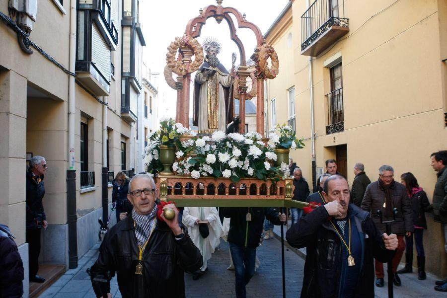 Los perros gobiernan por san Antón en Zamora