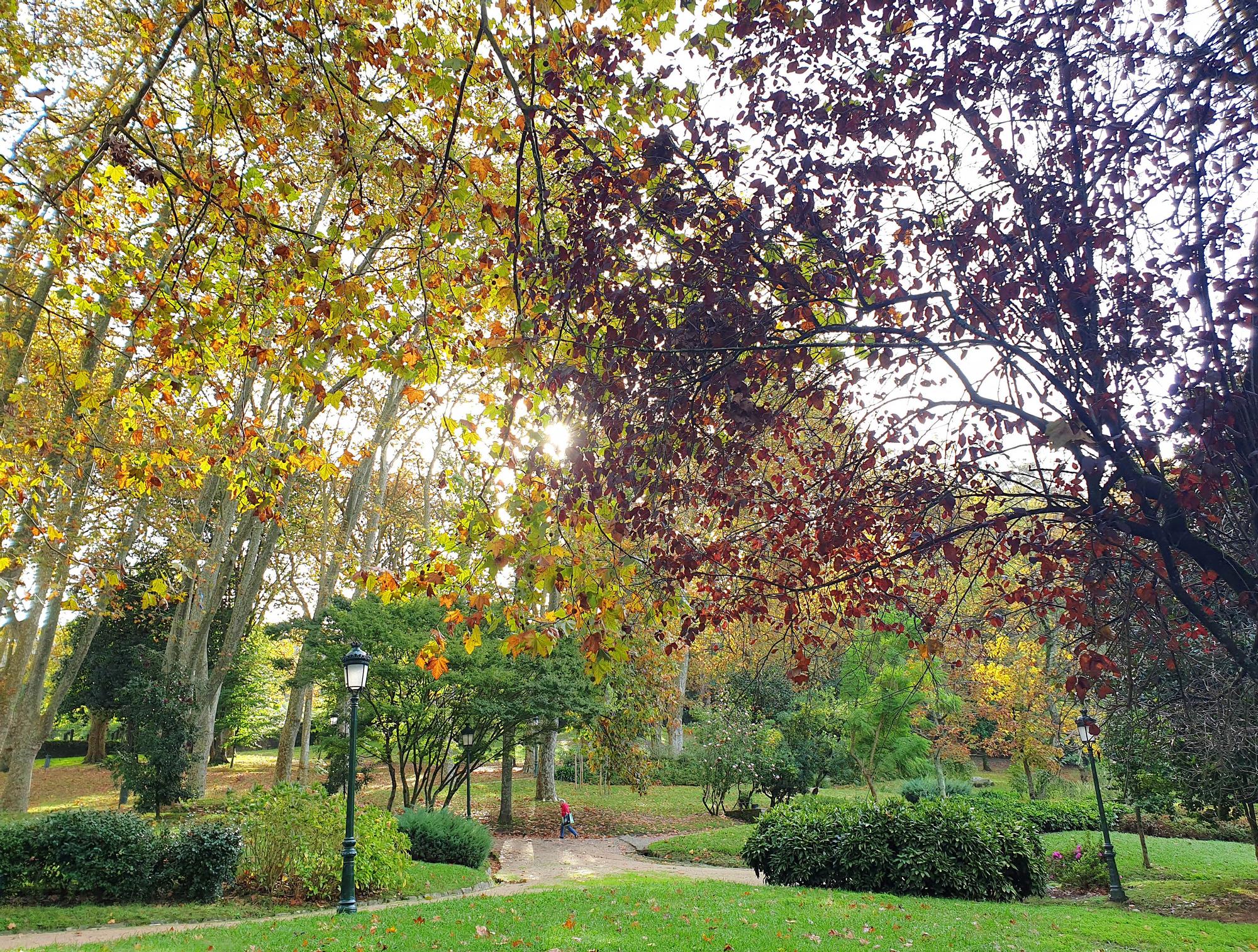 Vigo se tiñe de rojo y oro