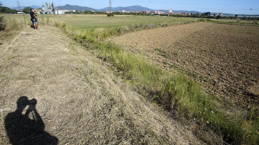 ERC de Salt proposa impulsar una formació vinculada als nous llocs de treball que generarà el Campus de Salut