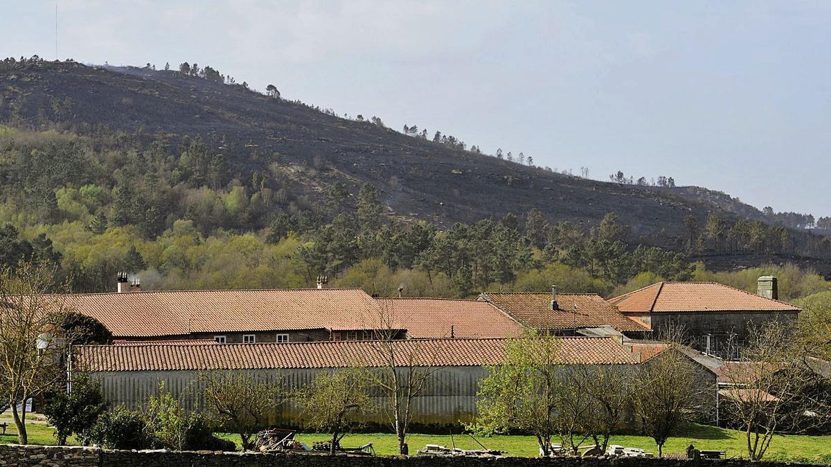 La ladera del monte de Pedroso, en Rodeiro, carbonizada por las llamas. |   // BERNABÉ/JAVIER LALÍN