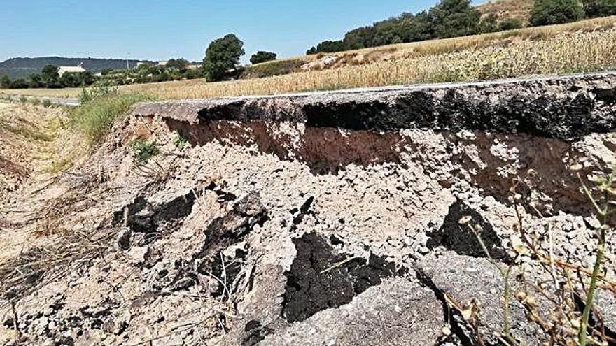 Estat actual del voral del camí de cal Xacó