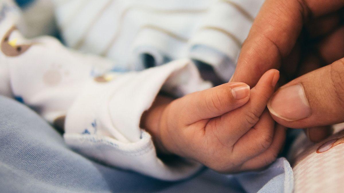 La mano de un bebé recién nacido.