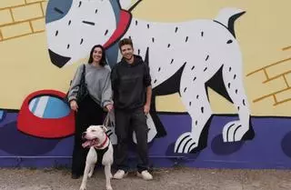 Zeus, un perro que salió de sa Penya y encontró un nuevo hogar en Ibiza