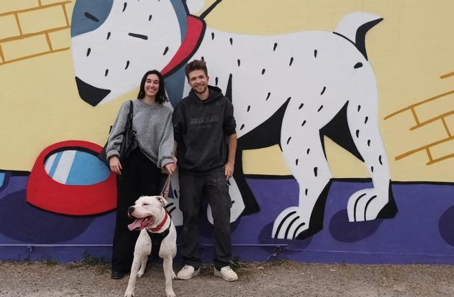 Zeus, un perro que salió de sa Penya encuentra un nuevo hogar en Ibiza