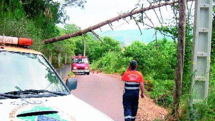 Protección Civil también acudió a retirar un árbol caído en Menduíña. / p.c.