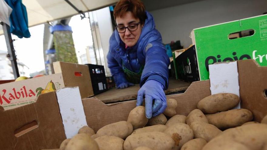 Prohibido plantar patata en siete concejos asturianos