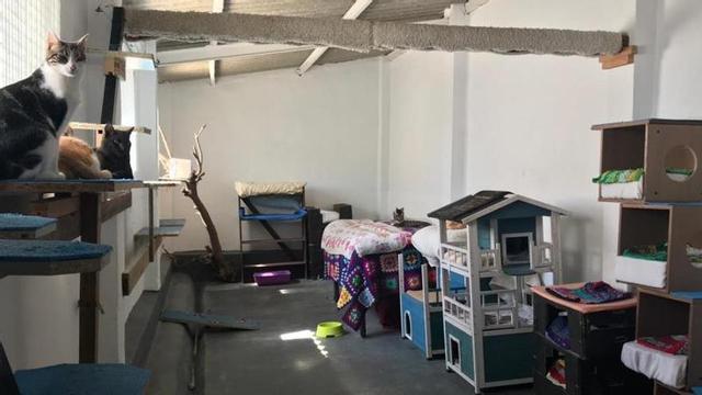 La junta electoral también abre expediente sancionador al alcalde de Benissa