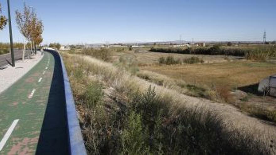 Más de cien olivos se plantarán en Echegaray y el tercer cinturón