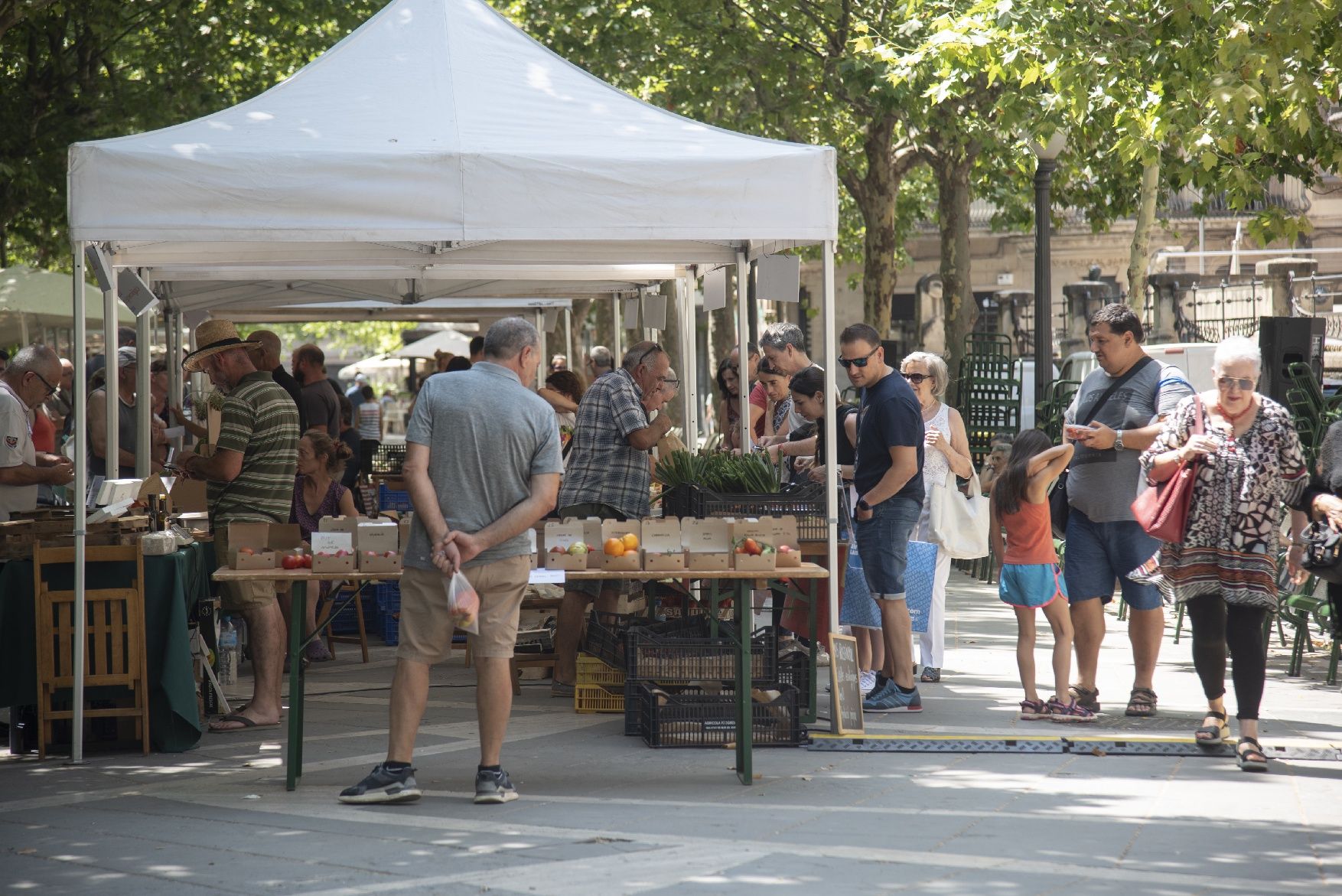 La sisena edició de la Festa del Tomàquet, en imatges