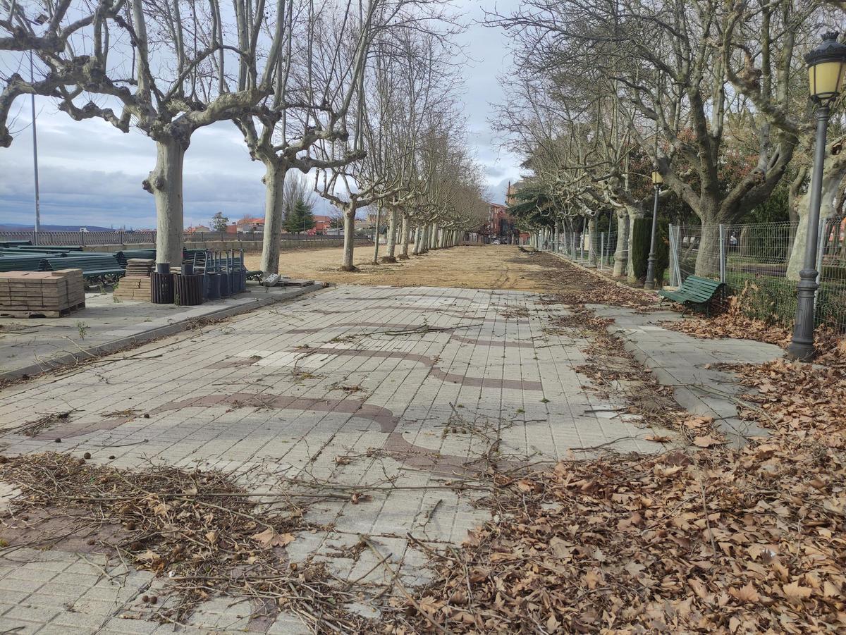 Imagen actual de los Paseos de la Mota de Benavente.