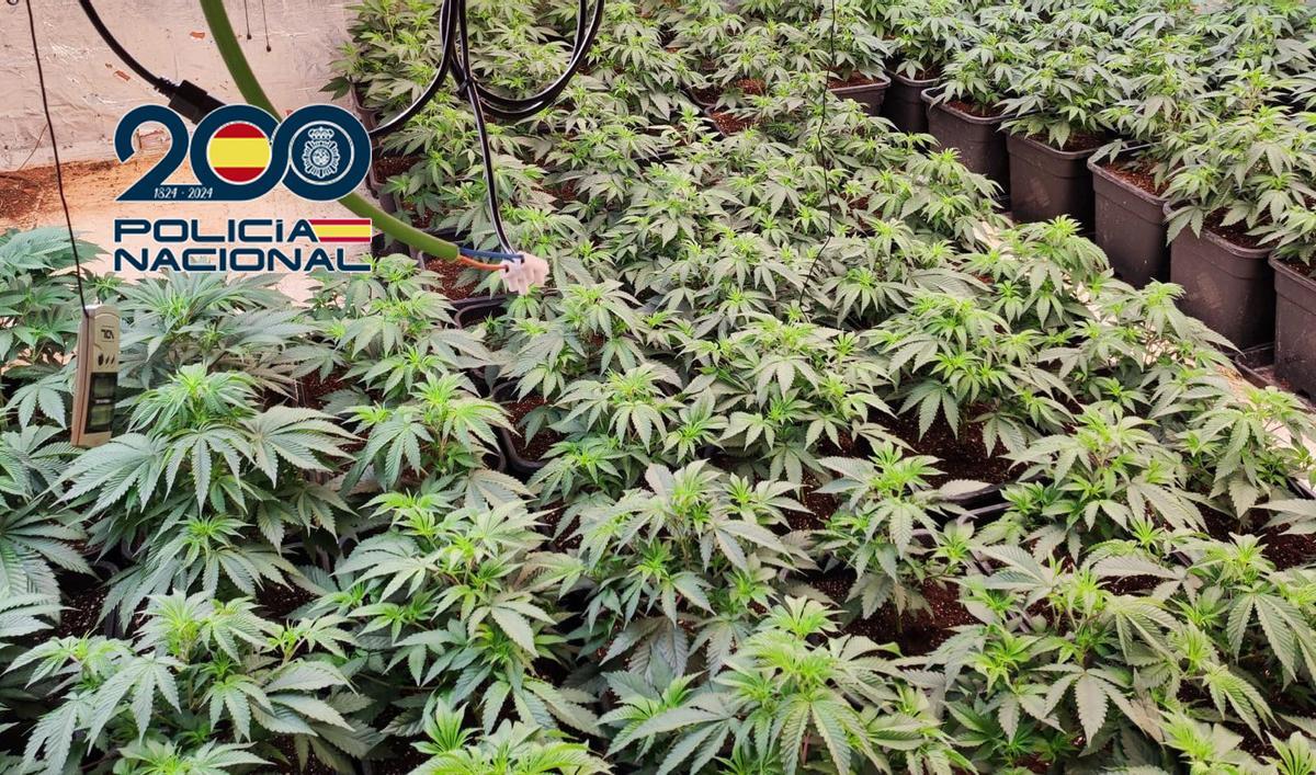 Detienen a seis miembros de una familia en Picassent