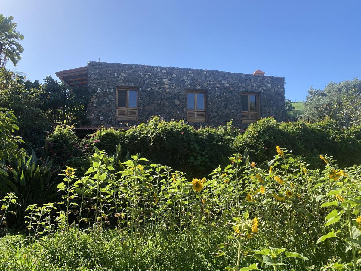 Vista de Vega de Agua, el proyecto de Jorge Esda y Javier Estupiñán.