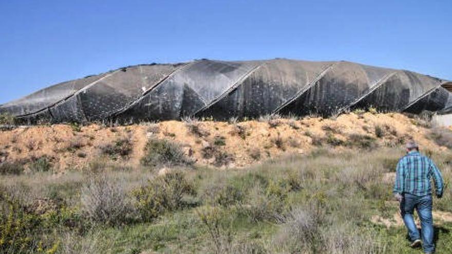 Torrevieja busca apoyo del Consell para demoler el balneario de lodos en ruina