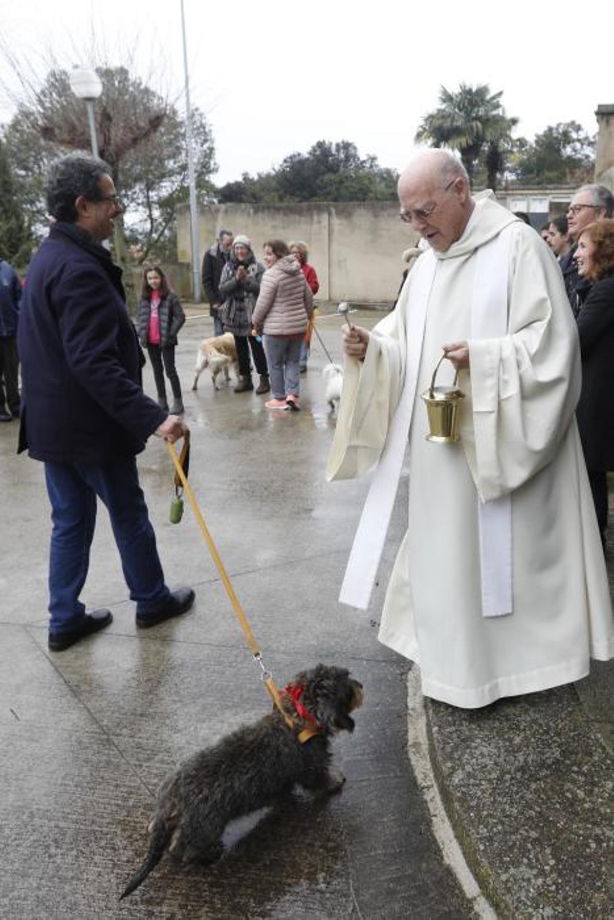 Benedicció dels animals per Sant Antoni a Girona