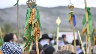 El festero 'de soca' que valora presentar candidatura a presidir la Junta de Festes de Castelló
