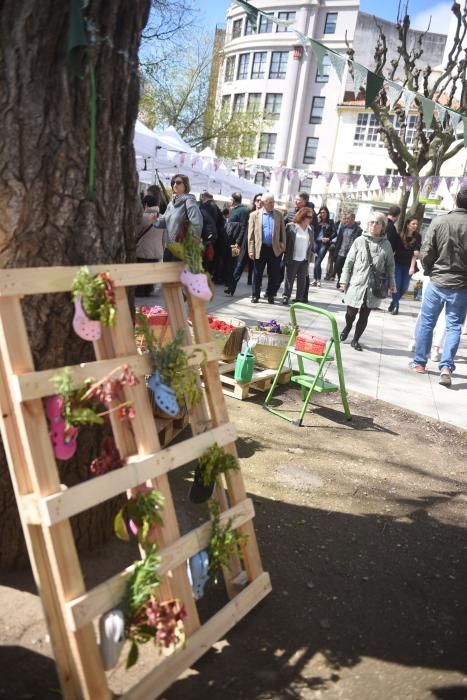 Mercado ecológico en la plaza de España