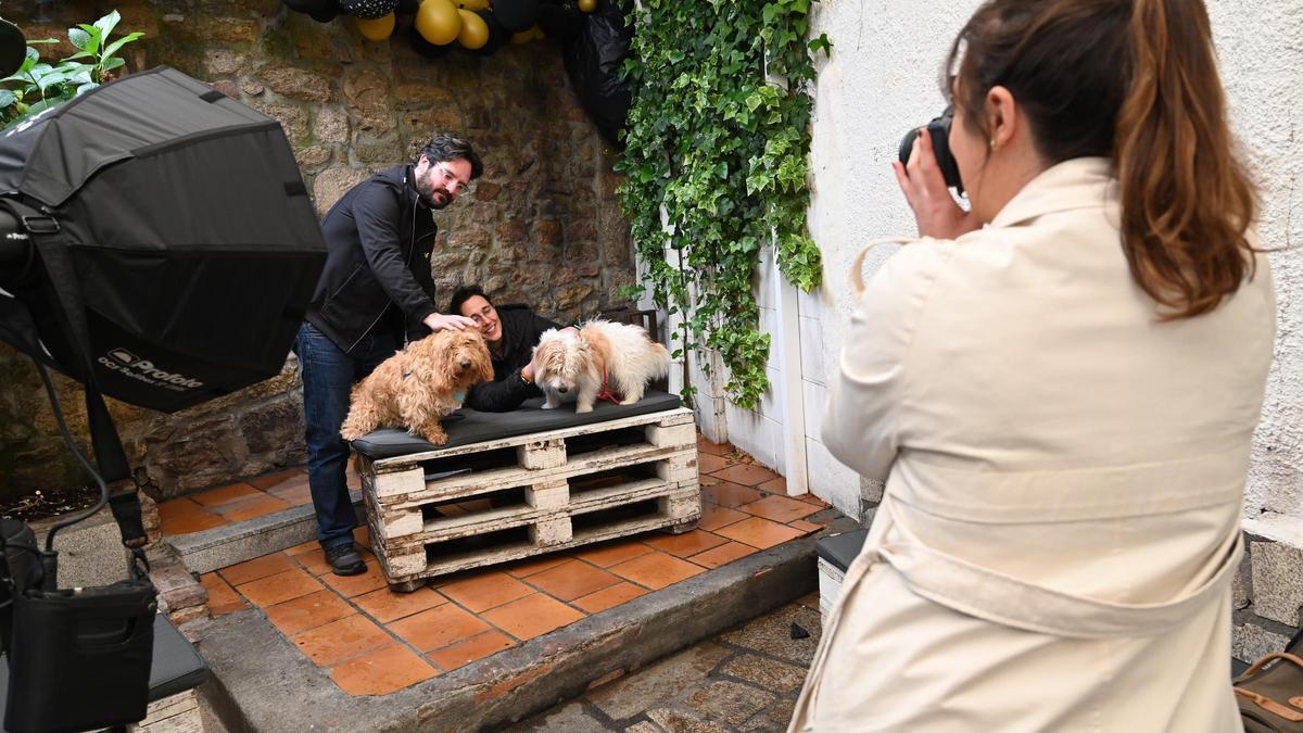 La fotógrafa Almu Rodríguez retrata a dos perros.
