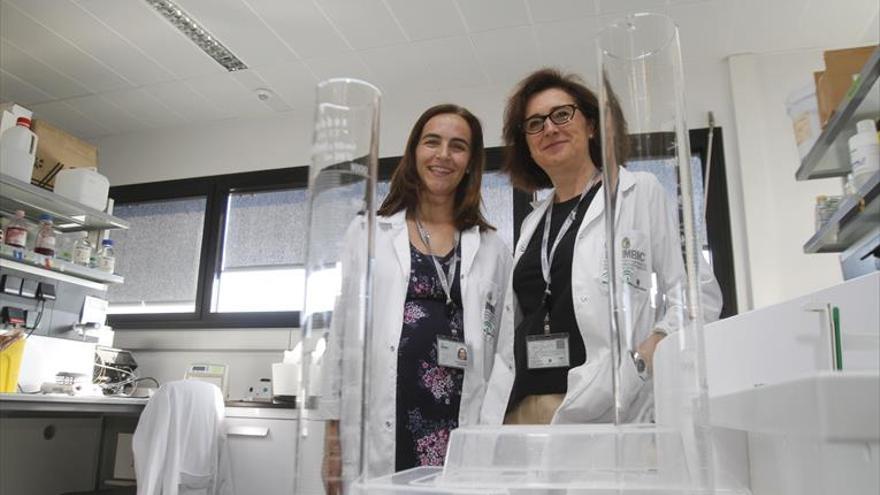 Ciencia en clave femenina