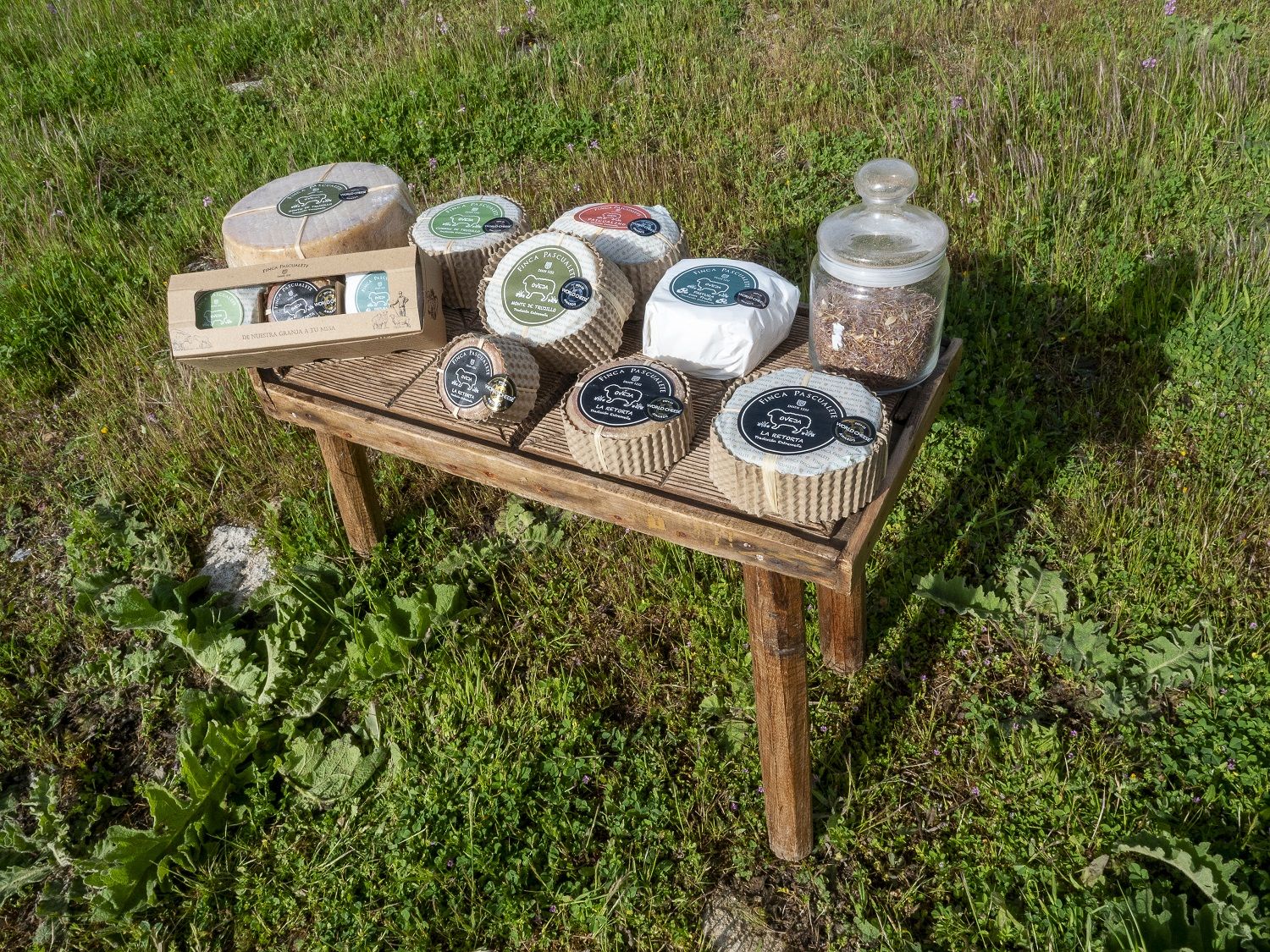 Quesos de Finca Pascualete.