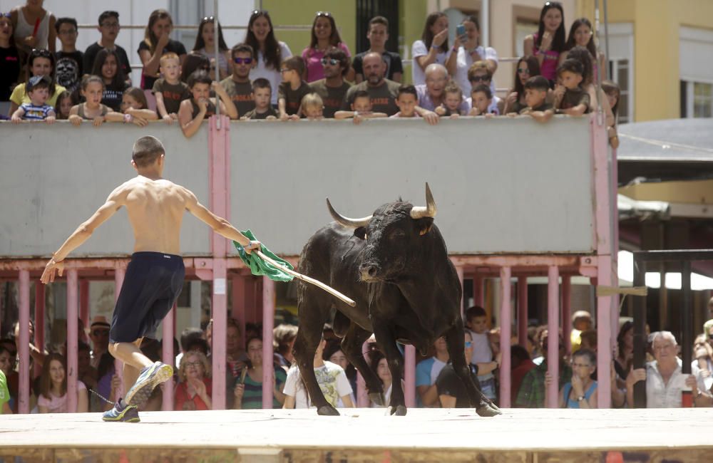 Festes de Sant Pere del Grau de Castelló