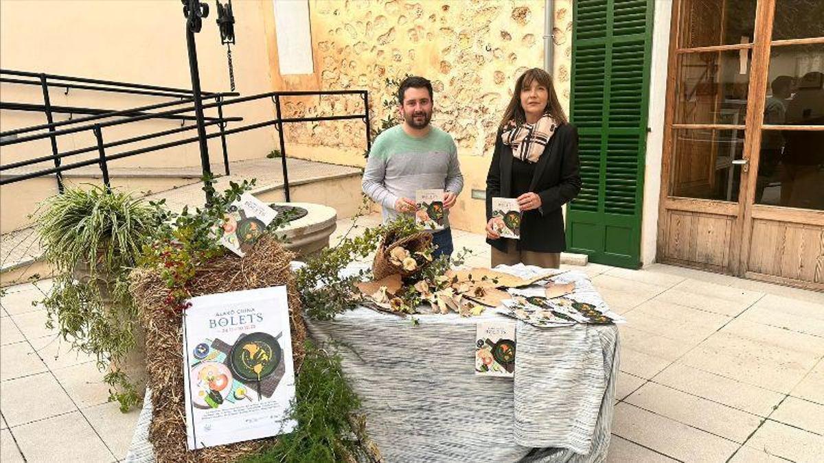 Temporada de setas en Mallorca: Vuelven las jornadas gastronómicas “Alaró cuina amb bolets”