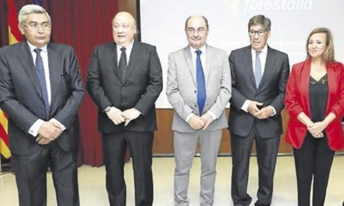 Forestalia levantará 66 parques de renovables en 50 pueblos de Teruel