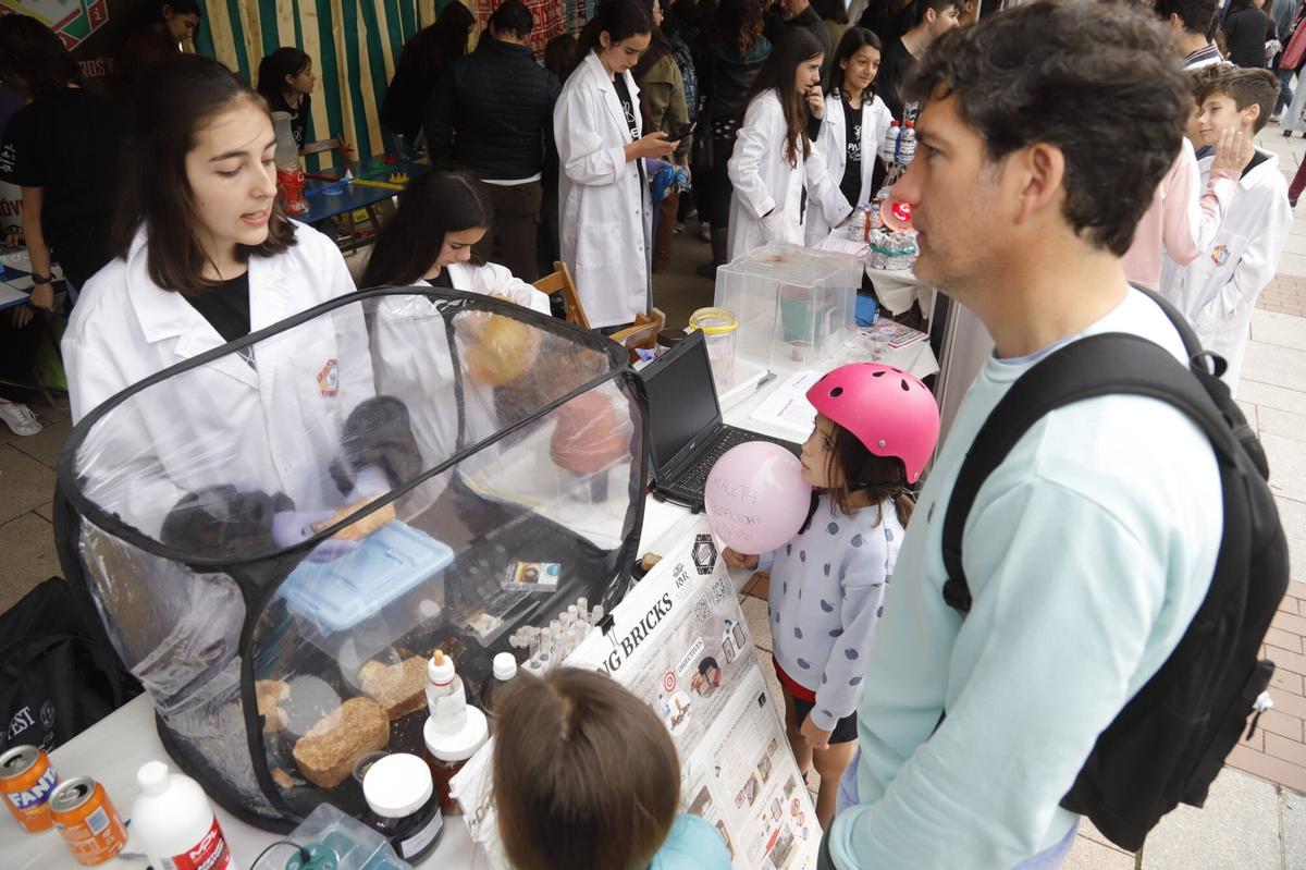 La 20 edición del Paseo de la Ciencia, en imágenes