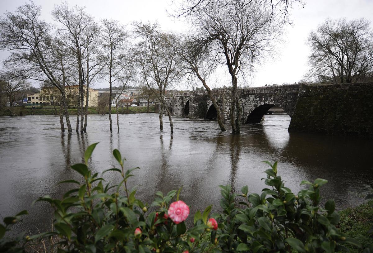 Nivel del Ulla a su paso por Pontevea