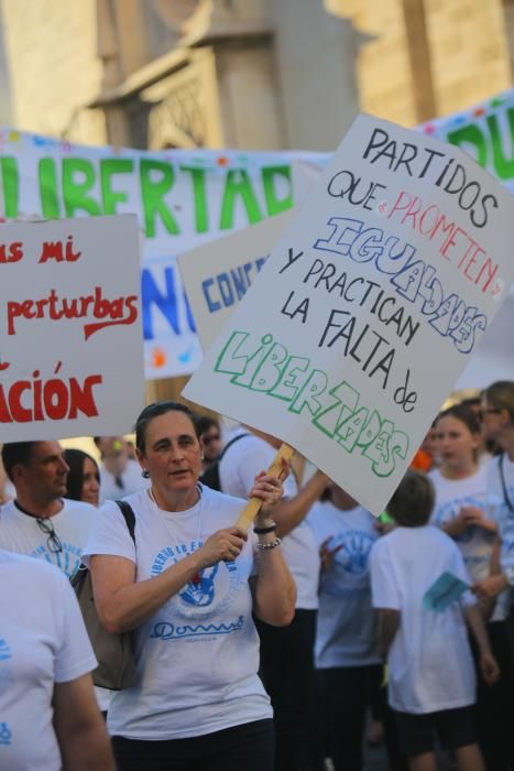 Manifestación a favor de la escuela concertada